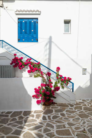 Narrow street of the old town. Traditional, withe architecture and a stone path with white joints. Parikia, Paros Island, Greece. Red Bougainvillea.の写真素材