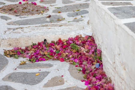 Pink Bougainvillea flower petals on the sidewalk with distinctive white joints. Parikia, Paros Island, Greece.の写真素材