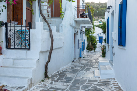 Narrow street of the old town. Traditional, withe architecture and a stone path with white joints. Lefkes, Paros Island, Greece.の写真素材