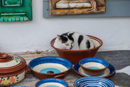 Black and white cat lying in a bowl. Local handicrafts. Gift shop.Antiparos town street on the island Antiparos, Cyclades, Greece.の写真素材
