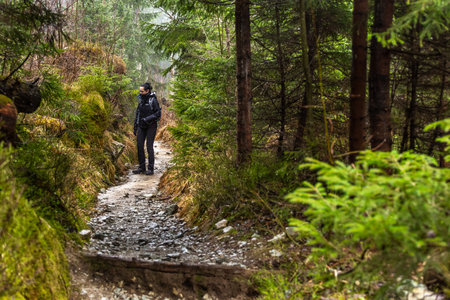Bialki Valley, Tatra Mountains, Poland - 10 April 2016: A woman on the trail in the BiaÅka Valley. in the Tatra Mountains near Zakopane. A hazy spring day.のeditorial素材