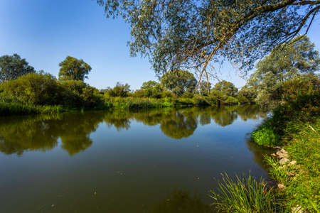 Summer day over Warta river in Warta Landscape Park, Poland.