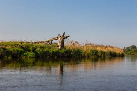 Summer day over Warta river in Warta Landscape Park, Poland.
