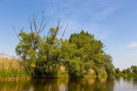 Summer day over Warta river in Warta Landscape Park, Poland.の写真素材