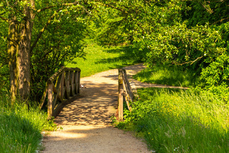Paths in the park around the castle in Goluchow, Great Poland.のeditorial素材