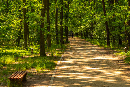 Paths in the park around the castle in Goluchow, Great Poland.のeditorial素材