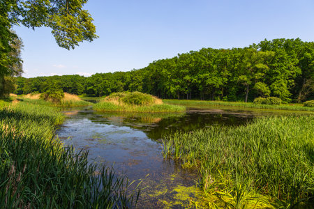 Pond in the park around the castle in Goluchow, Great Poland.のeditorial素材