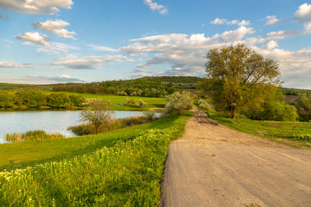 Farmlands and meadows in the Moldavian countryside. Spring season. Republic of Moldova.の写真素材
