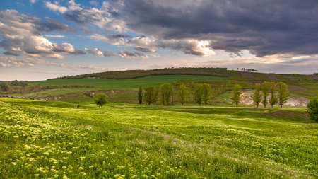 Farmlands and meadows in the Moldavian countryside. Spring season. Republic of Moldova.