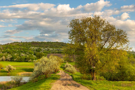 Farmlands and meadows in the Moldavian countryside. Spring season. Republic of Moldova.の写真素材