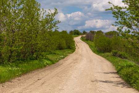 A gravel road among forest and meadows. Spring season rural landscape. Gagauzja, Republic of Moldova.の写真素材