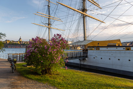 Stockholm, Sweden - May 29, 2016: View of the af Chapman, Dunboyne, full-rigged steel ship moored on the western shore of the islet Skeppsholmen in central Stockholm.のeditorial素材
