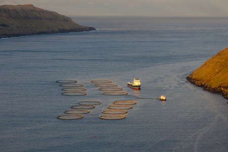Sunset over a fjord on Eysturoy Island. Salmon farming in the waters. Lambi, Faroe Islands.の写真素材