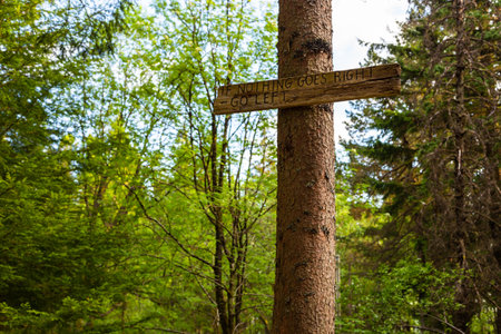 Bergen, Norway - 28 May 2018: Landmarks on the Floyen hill path.のeditorial素材