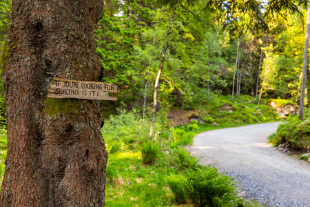 Bergen, Norway - 28 May 2018: Landmarks on the Floyen hill path.のeditorial素材