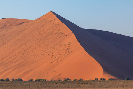 dunes in the southern part of the Namib Desert in the Namib-Naukluft National Park of Namibia.の写真素材