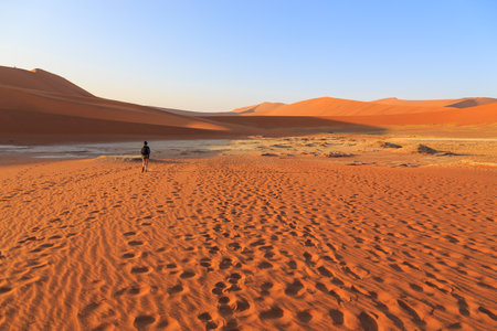 Sossusvlei, Namibia - 30 September 2018: Woman walking in the dunes. The salt pan of Sossusvlei with dead tree. Namib Naukluft National Park. Sand dunes in the pan of Sossusvlei. Namibia. Africa.のeditorial素材