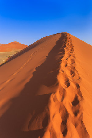 Sossusvlei, Namibia - 30 September 2018: Tourist on the famous dune 45. The southern part of the Namib Desert in the Namib-Naukluft National Park of Namibia.のeditorial素材