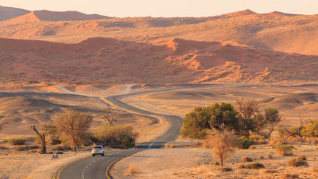 Sossusvlei, Namibia - 30 September 2018: Asphalt road to Soussusvlei located in the southern part of the Namib Desert in the Namib-Naukluft National Park of Namibia.のeditorial素材
