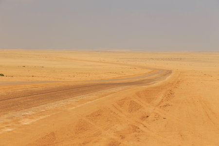 Namibian landscape along the gravel road. Yellow ground and African vegetation around....