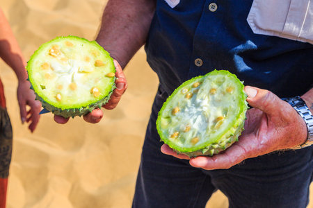 Sandwich Harbor, Namibia - October 03, 2018: African horned cucumber, kiwano. an annual vine in the cucumber and melon family, traditional food plant in Africa.のeditorial素材
