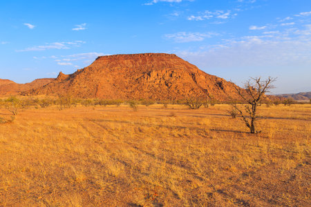 Namibian landscape, red ground and African vegetation around. Damaraland, homelands in South West Africa, Mowani, Namibia.の写真素材