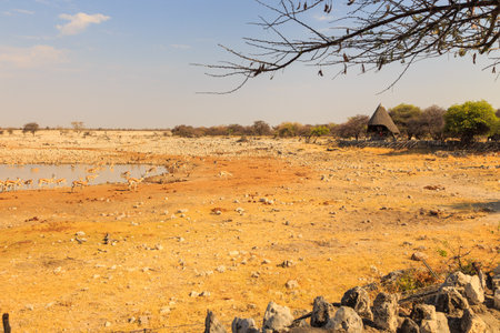 Etosha National Park 06 October 2018: The viewpoint at the Okaukuejo Camping Area. African Wildlife Observation.のeditorial素材