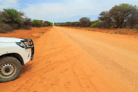 Namibia - 08 October 2018: White car on gravel road to Waterberg Plateau National Park.Beautiful african landscape.のeditorial素材