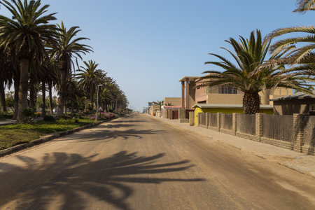 Swakopmund, Namibia - October 03, 2018: Promenade in Swakopmund. Exotic vegetation.のeditorial素材