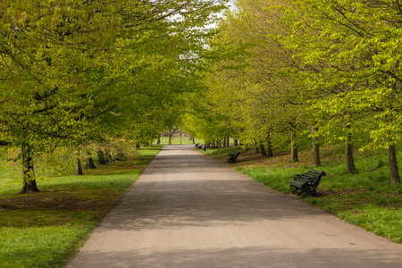 UK, London - 05 April 2019: An alley in Greenwich Park. One of the Royal Parks of London.のeditorial素材