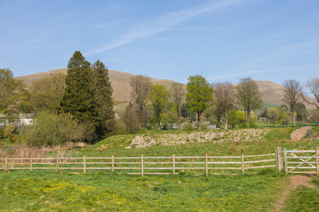 View of the gardens in the Sedbergh village. Sunny spring day. Sedbergh, Yorkshire Dales, UKの写真素材