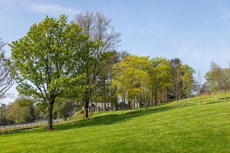 View of the gardens in the Sedbergh village. Sunny spring day. Sedbergh, Yorkshire Dales, UKの写真素材