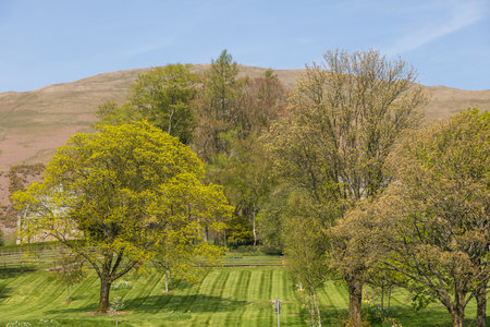 View of the gardens in the Sedbergh village. Sunny spring day. Sedbergh, Yorkshire Dales, UKの写真素材