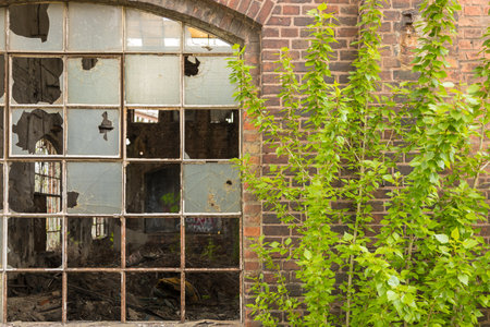 Poland, Gdansk, Imperial Shipyard - 01 May 2019: The Imperial Shipyard Trail - high window of abandoned destroyed hall.のeditorial素材