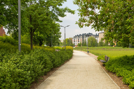 Path with bench in the garden. New block of flats in the background.