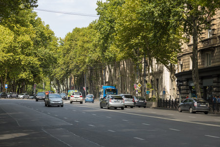 Tbilisi, Georgia - 06 September 2019: Trees along The Shota Rustaveli Avenue, among the main streets in Tbilisi, Georgia, connecting the Rose Revolution Square to the Libertyの写真素材