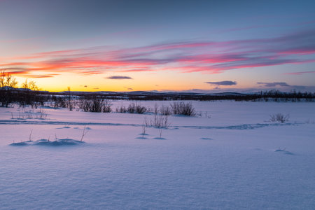 Snowy landscape in winter day. Beautiful sunrise. Mountains of Abisko National Park, Lapland,...