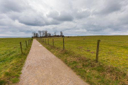 Countryside trail with fences and grassy pastures leading to trees. Moody weather and overcast sky.の写真素材