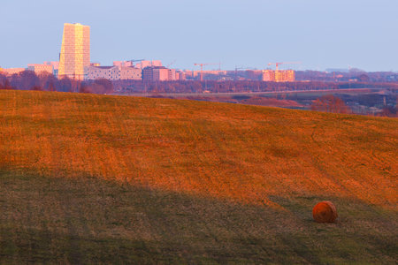 Golden sunlight illuminates a field with the skyline of Malmo in the distance, Sweden.の写真素材