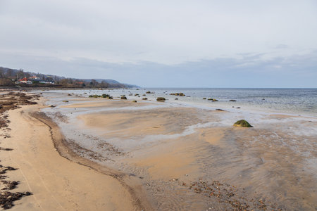 Peaceful sandy beach with scattered rocks and coastal village in Torekov, Sweden. Overcast sky and calm sea.の写真素材