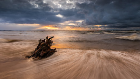 Stormy clouds and waves along the sandy beach of Sobieszewska Island, Poland. Dry driftwood lies on the shore.の写真素材