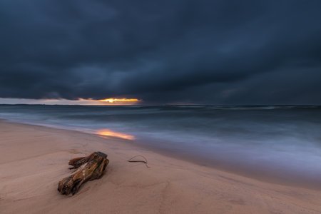 Stormy clouds and waves along the sandy beach of Sobieszewska Island, Poland. Dry driftwood lies on the shore.の写真素材