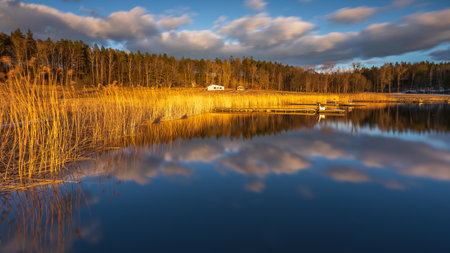 Tranquil spring landscape with a wooden pier and bench on a still lake surrounded by forest in Okuniewo, Poland.の写真素材