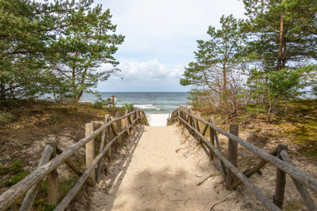 Wooden fence lines a sandy trail through a pine forest in Debki, Poland, ending at the Baltic Sea...