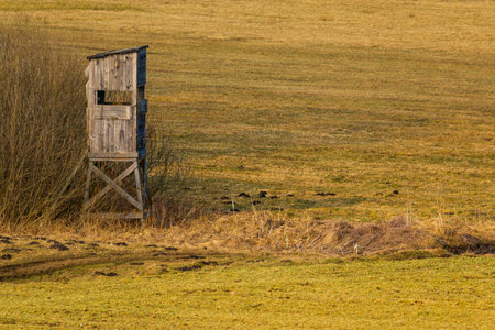 A simple wooden hunting tower stands by the edge of a grassy field near Osowiec in the Biebrza region, Poland.の写真素材