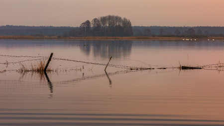 Morning calm over flooded meadows of the Biebrza River in Poland â a quiet scene with water reflections and fence submerged.の写真素材