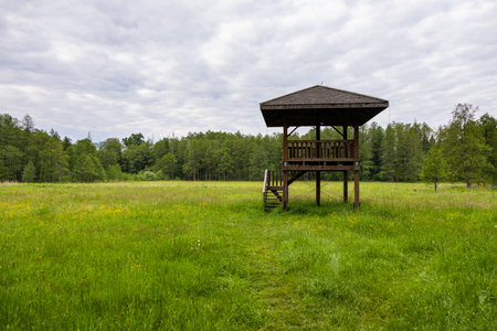 A wooden observation platform on a green meadow with wildflowers and forest in Podlasie, Poland.の写真素材