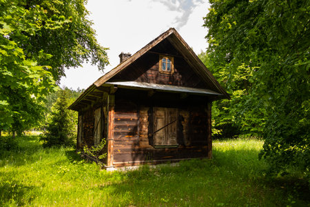 A small wooden cabin with shuttered windows nestled in a green forest clearing in Wierszalin, Podlasie, Poland.の写真素材