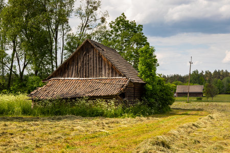 Traditional wooden barn on a summer meadow in Soce, Podlasie, Poland. Rustic scene with hay and trees.の写真素材