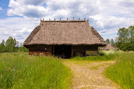 Historic wooden buildings with thatched roofs in open-air museum. Bialowieza, Poland.の写真素材